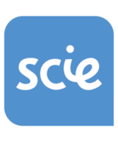 Social Care Institute for Excellence