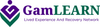 GamLEARN