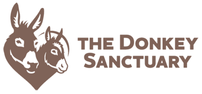 Donkey Sanctuary
